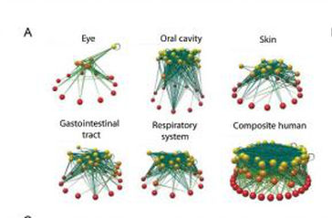 microb.jpg